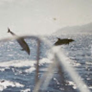 Meet your Posher, Pooja